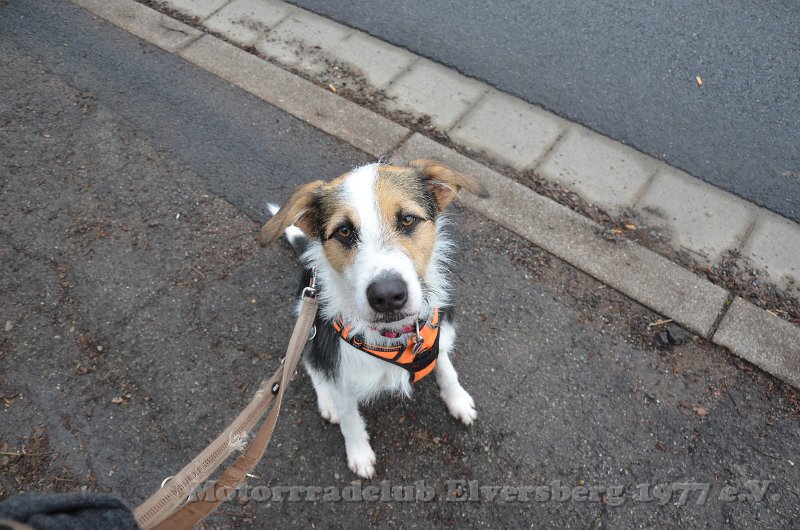 Wandertag 2019 - 015